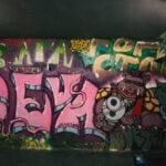 Seva(pigs crew)